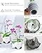 Meshpot 5 inch Orchid Pots with Holes for Repotting with Excellent Airflow, Set of 2, Double Layer Plastic Imitate Ceramic Orchid Planter, Clear Orchid Pot Match Decorative Orchid Container