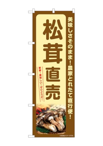 ̂ڂ艮H[(Noboriyakobo) SNB-7342  W600×H1800mm 1  OO |W  ɐ 󒍐Yi