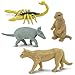 Safari Ltd. Desert TOOB - Figurines of Horned Lizard, Cactus, Road Runner, Scorpion, Rattlesnake, Coyote, Bobcat, Armadillo, Mountain Lion - Educational Toy Figures For Boys, Girls & Kids Ages 3+