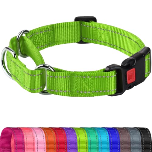 Joytale Martingale Collar for Dogs, Escape Proof No Pull, Green, L