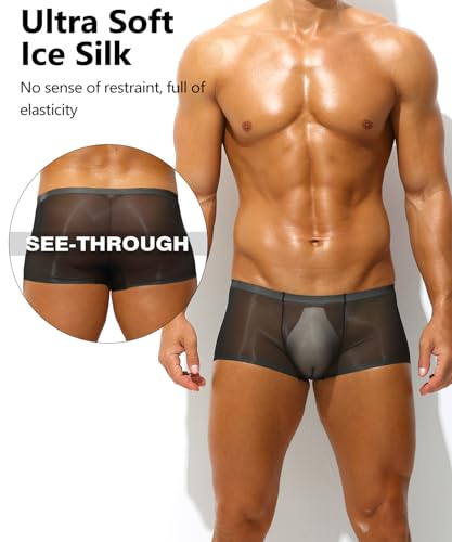 Mens Sexy See Through Boxer Briefs Ice Silk Trunks Underwear Ultra Thin Soft Sheer Bulge Pouch Boxer Shorts3