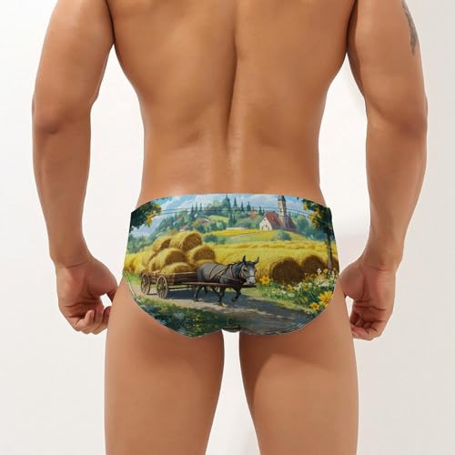 Cute Donkey with Haystack Men's Swimming Trunks Briefs Beach Swimwear Low Rise Bikini Swimsuit Print Bathing Suit2