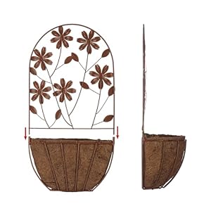 BAYN 2PKs Wall Hanging Planter Decor Art with Flower, Metal Wall Mounted Planters Indoor Outdoor Wall Planter for Succulent Herb Home Garden Yard BAYN 2PKs Wall Hanging Planter Decor Art with Flower Metal Wall Mounted Planters Indoor Outdoor Wall Planter for Succulent Herb Home Garden Yard