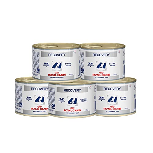 Kit 5 Ração Úmida Royal Canin Cães Recovery Lata - 195g