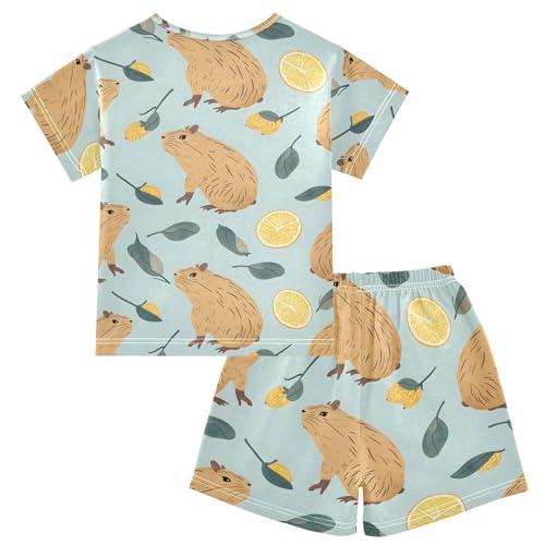 ALAZA Cute Capybara Lemon Fruit Pajamas Short Sleeve 2 Piece Sleepwear Top and Bottom Pajama Set Unisex2
