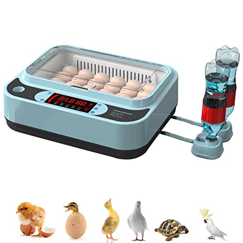 List of Top Ten Best Egg Candler [Top Picks 2023 Reviews]