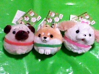 Amazon.co.jp: わんこ隊 マスコット 3種 8cmぬいぐるみ 犬 いぬ イヌ