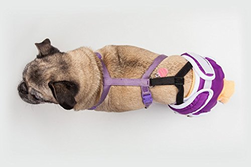 Dog Diaper And Belly Band Stretchable Straps | Dog Diaper Suspenders | Hold Dog Diapers And Belly Bands In Place | No Sliding Off(14.5" Length) #TOP1