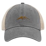 Gorra de béisbol Mountains.png bordada para papá para adolescentes, a la moda, ajustable, para acampar, Gris02, talla única