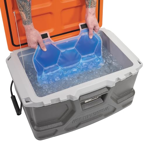Pack de glace pour gilet Ergodyne Chill Its 6220 transparent x2