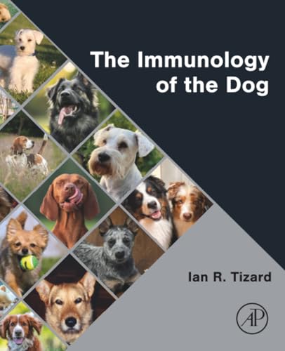 How long are rabies shots for dogs good for