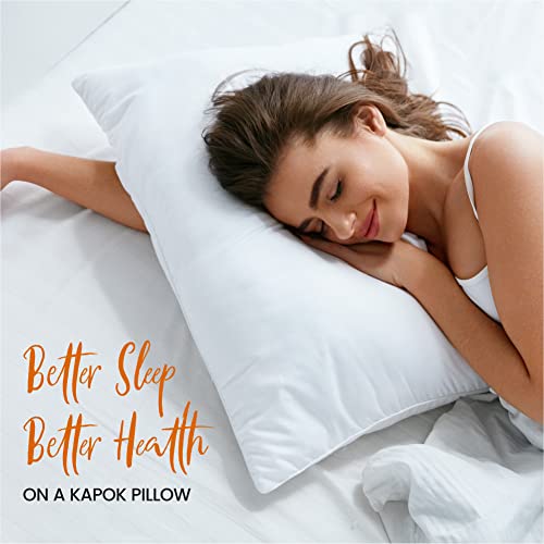 Cheer Collection Set Of 2 Organic Kapok Bed Pillows, Natural Kapok Fiber Filled Sleeping Pillows And Sham Inserts, Standard Size, 20 X 28 Inches #TOP2