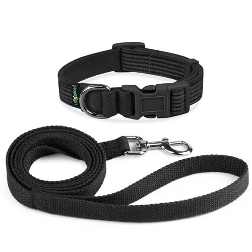 Set con Collare per Cani Collare Regolabile 35-50 cm in Morbido Velluto a Coste e 1,5M Guinzaglio per Cani Accessori Addestramento di Cotone per Gatto&Cane Taglia Piccola Media Accessori(Large 2cm)