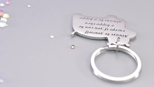 HUTIMY Encouragement Keychain - Hippo Quote Keyring, 316L Stainless Steel, Inspirational Gift Jewelry - View #4