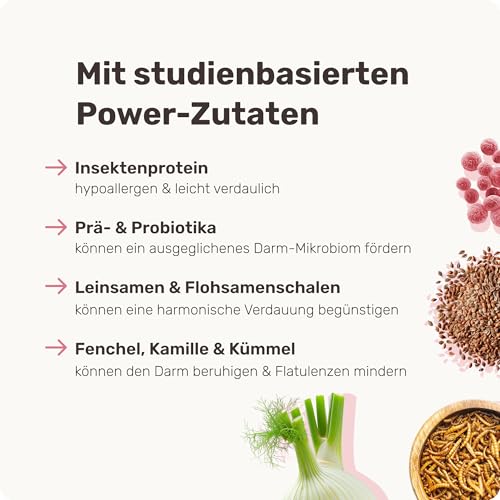 9-in-1 Probiotika für Deinen Hund - Lucky Belly Hypoallergen Allergie Fit ohne Huhn 120 Drops (350g) von mammaly-Bei Magenprobleme & Verdauungsprobleme für Magen-Darm,Verdauungssnacks bei Gras fressen