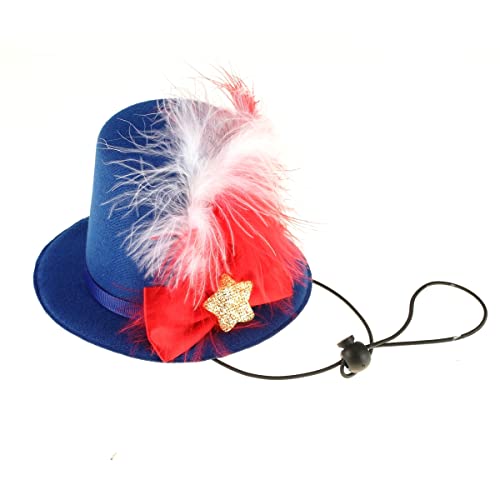 BinaryABC 4th of July Dog Cat Costumes Hat,Patriotic Pet Hat,Independence Day Memorial Day Fourth of July Party Supplies
