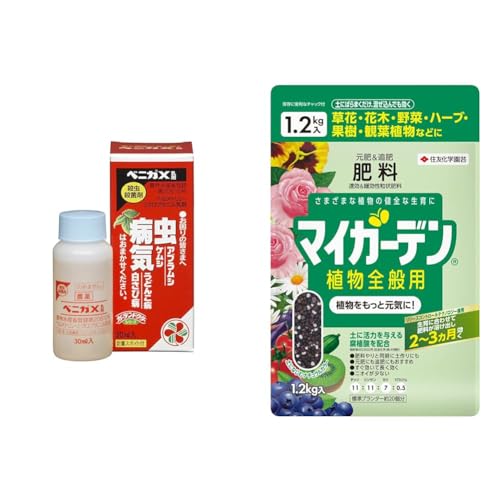 yZbgzZFw| EEۍ xjJX 30ml+엿 }CK[f ASʗp 1.2kg