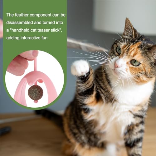 Balle d'herbe à chat interactive rose avec plume pour chaton en intérieur