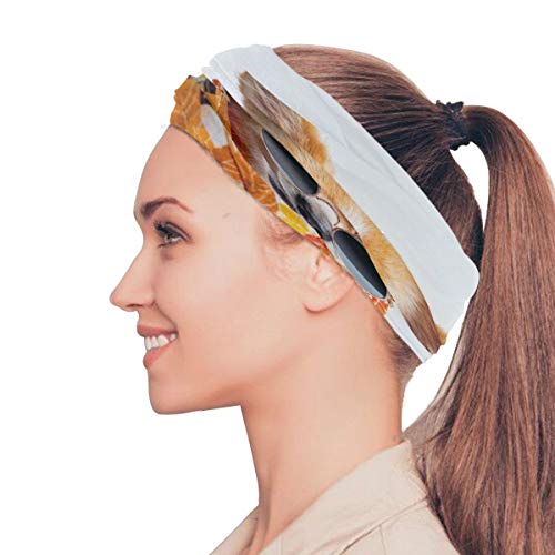 Bardic Balaclava Cachorro Bonito Usando Óculos de Sol Máscara Facial Proteção UV para Homens Mulhere