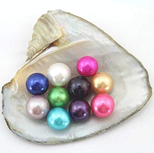 1PC Freshwater Pearl Oyster with 10 Mix Color Round Love Wish Pearls Inside Meaningful Color (7-8mm), Valentines Mothers Day Birthday Gifts Oysters with Pearls Inside (Total 10 Pearls)