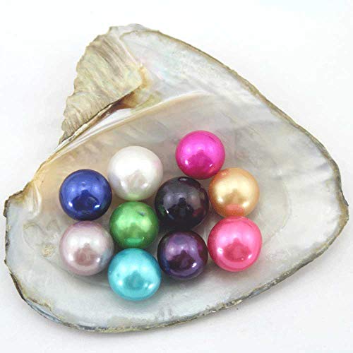 1PC Freshwater Pearl Oyster with 10 Mix Color Round Love Wish Pearls Inside Meaningful Color (7-8mm), Valentines Mothers Day Birthday Gifts Oysters with Pearls Inside (Total 10 Pearls)