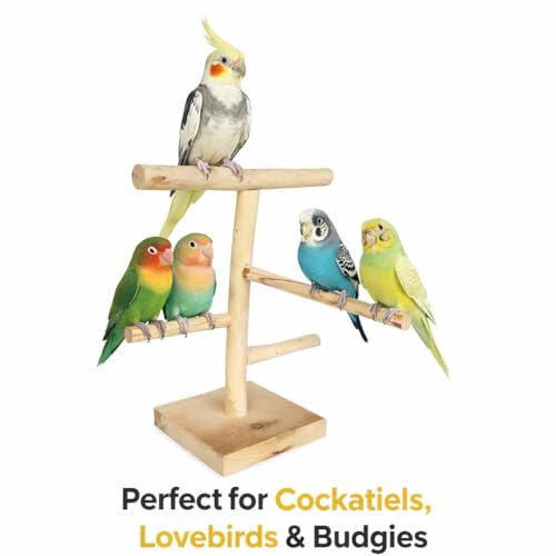 Image of Bird Stand for Parrot, Cockatiel & Lovebirds | Wooden Bird Play Gym with Ladder & Perch | Bird Activity Stand for Cage & Outside | Natural Chew & Exercise Stand for Small Birds