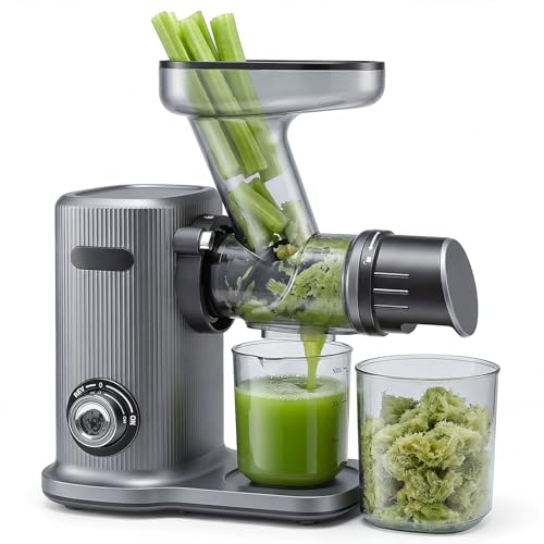 Image of OLIXIS Cold Press Juicer, Slow Masticating Juicer Machines with Extra Wide Feed Chute, High Juice Yield and Easy to Clean for Whole Vegetables & Fruits, Silver
