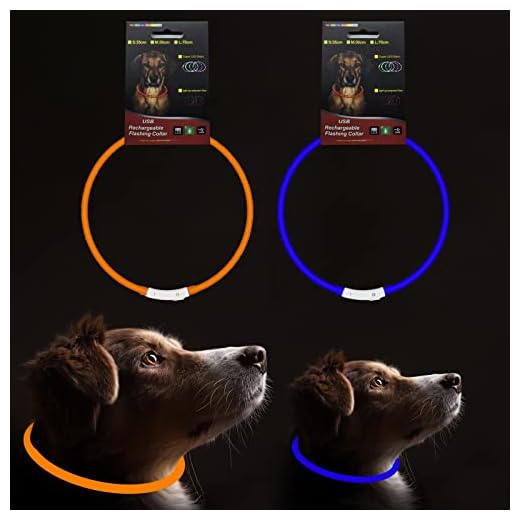 Collar de perro LED, collar de perro con luz impermeable, recargable, ajustable, para mascotas, súper brillante, para perros pequeños, medianos y grandes, con 3 modos de parpadeo