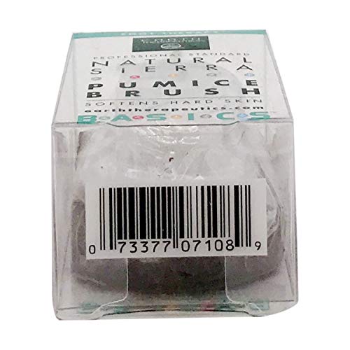 Earth Therapeutics Pumice Stone with Brush, 1 EA