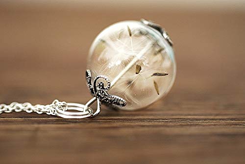 Collier argent pissenlit véritable pendentif médaillon nature en argent 925 - 5
