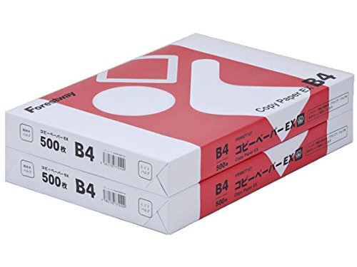 Rs[p F B4 1000 (500×2) Rs[y[p[EX