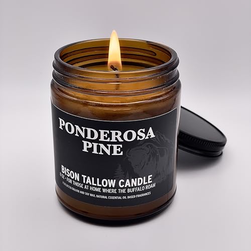 Big Crazy Buffalo Pure Bison Tallow Scented Candle, Ponderosa Pine, 8 oz - Scents of Pine, Cypress, & Cedar - Pure, Low Smoke, Beeswax, Traditional Tallow Candle, Glass Jar