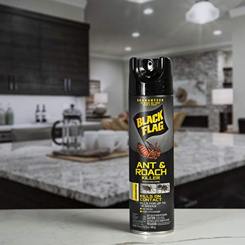 Image of Black Flag Ant & Roach Killer Aerosol, Unscented, 17.5-Ounce, 12-Pack
