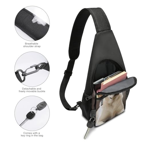 Bolso bandolera para senderismo estilo Labrador miniatura 4