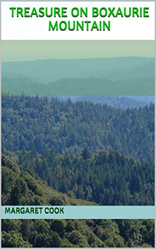 Treasure on Boxaurie Mountain (English Edition)