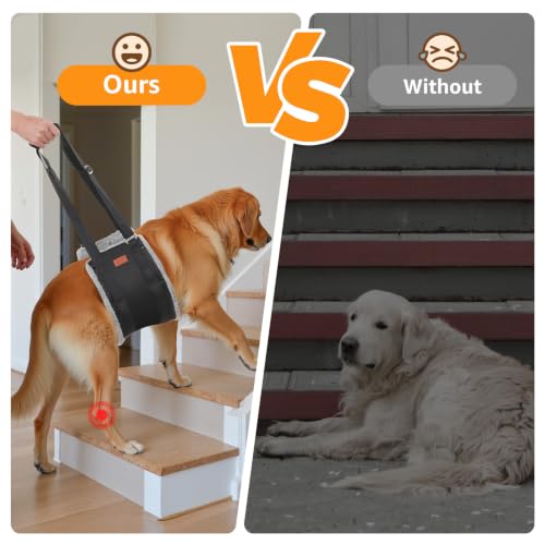 Image of Adjustable Dog Lift Harness, Dog Sling for Large Dogs Lift Support and Rehab Harness for Weak Rear Legs, Soft Hind Leg Support Helps Senior, Injured,Disabled and After ACL Surgery Dogs(Black,X-Large)