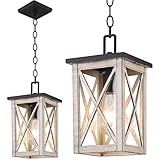 Outdoor Pendant Light Exterior Hanging Lantern Porch Pendant Lights, Light Wood Grain with Glass 1-L