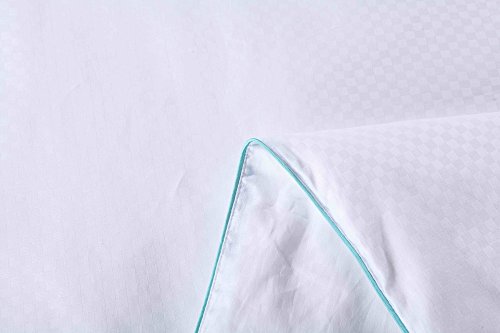 Silk Camel Luxury Comforter Filled With 100% Natural Long Strand Mulberry Silk For Spring Season - Twin Size #TOP7