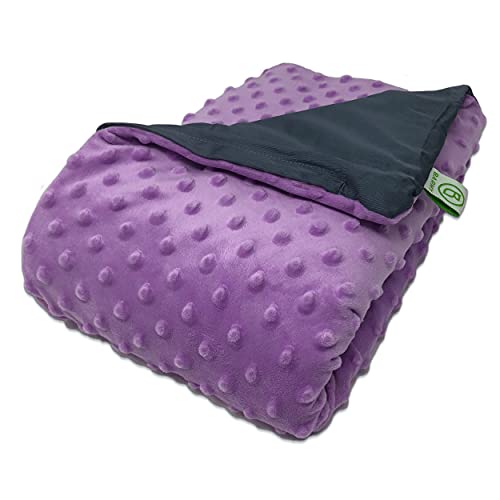 BARMY Weighted Lap Pad for Kids (24â€x24â€, 5lbs, 7 Colors) Weighted Lap Blanket with Removable, Washable Cover, Sensory Lap Pad for Child, Toddler, Dogs, 100% Cotton Inner Weighted Blanket, Purple