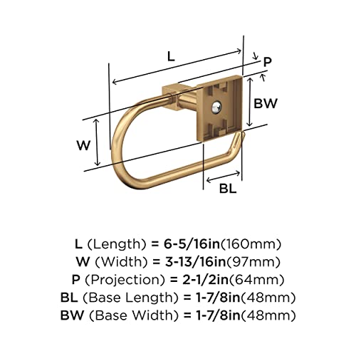 Amerock | Toilet Paper Holder | Champagne Bronze | Appoint | Single Post Tissue Holder | Bath Hardware | Bathroom Accessories #TOP5