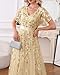 Gold Dress Champagne Mother of Bride Formal Wedding Guest Long Bridesmaid Prom Evening Gown Gala Tulle Dress with Sleeve