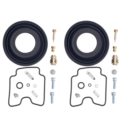 Kit de reparación de carburador AHL para Suzuki GS500F 2004-2009 kit de 2 piezas 3