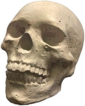 Fire Pit Skulls Small White (White)