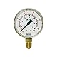 RIEGLER 101293-420 Manometer Argon, G 1/4 radial unten, 0-30 l/min (10 bar), Ø 63, 1Stk