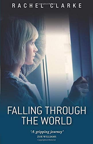 Falling Through the World: A Journey Through ME/CFS - a Novel