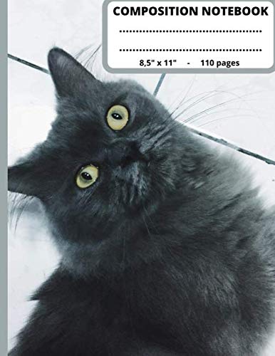 Composition Notebook 8,5 x 11 - 110 pages: Cute Cat School Notebook - Wide Ruled Paper - Composition Notebook College Ruled