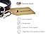 Schnüffelfreunde Halsband für Hunde aus Leder, Hundehalsband für den großen, mittleren und kleinen Hund, Lederhalsband gepolstert, robust (M - 28-36cm, Braun)