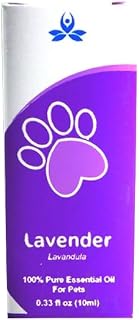 Pet-Friendly Lavender Essential Oil - 10ml Bottle - Natural & Pure - Helps Create a Calming Environment for Pets