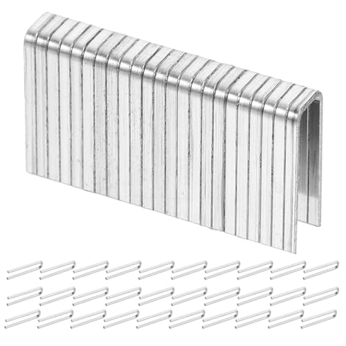 Hoement 100 uCh C H uCh J[e `g bh C i Vb^[   Vb^[ Nv ƒp u