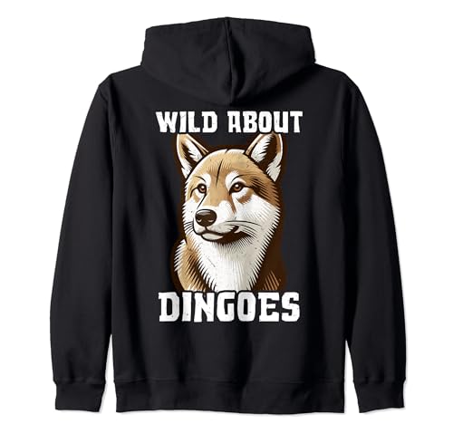 What is a dingo dog